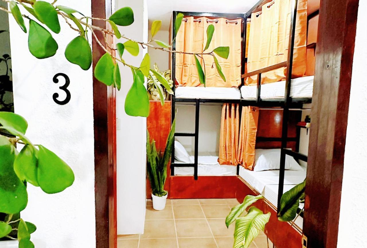 Moana Beach House Moalboal Esterno foto